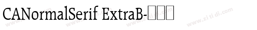 CANormalSerif ExtraB字体转换